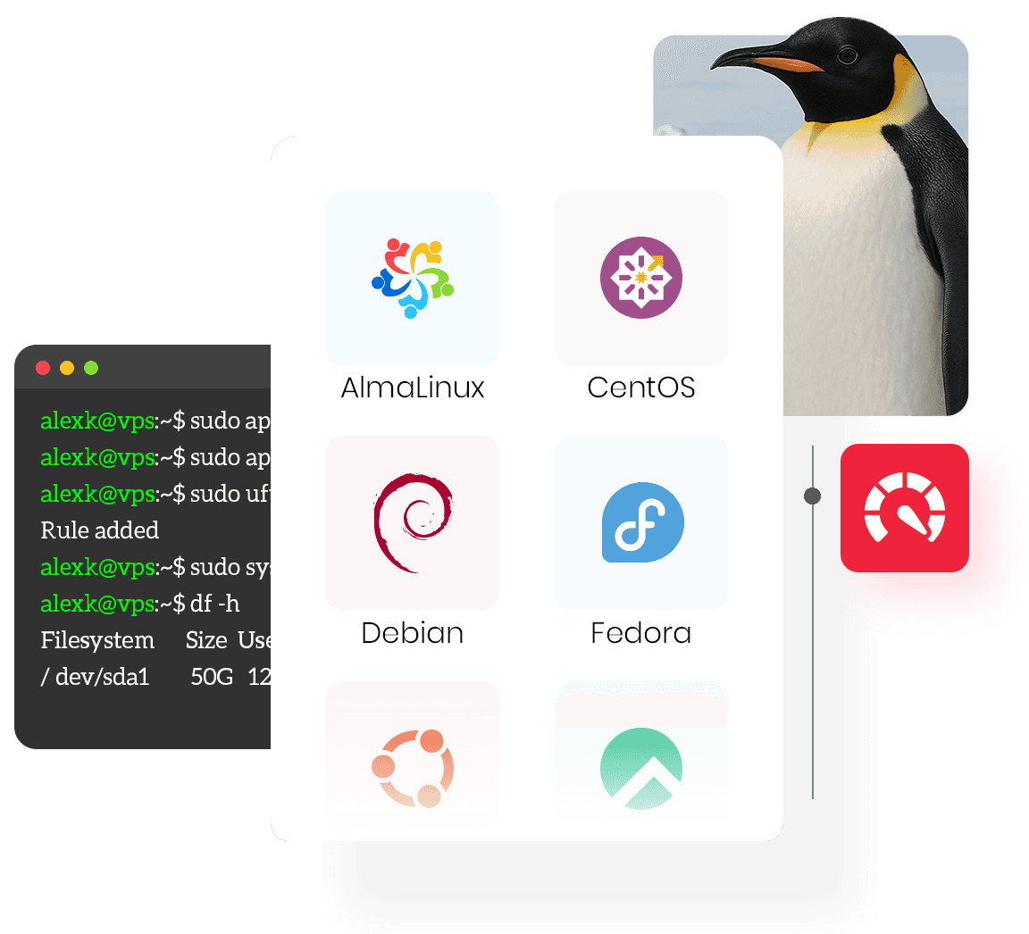 Reliable Linux VPS hosting with full root access and high-performance servers