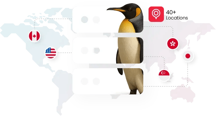 MonoVM Linux Dedicated Server for secure and high-performance hosting