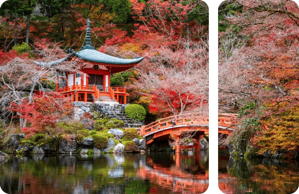 Japan VPS hosting server infrastructure for enterprises