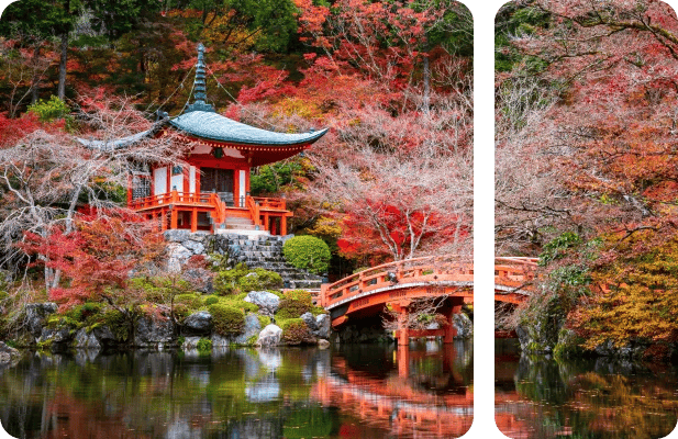 Switzerland VPS hosting server infrastructure for enterprises