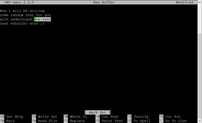 copy paste nano editor