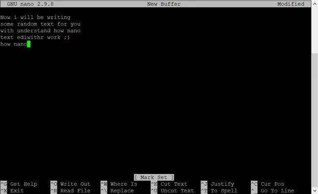 Copy Paste nano editor