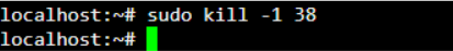 Linux Sudo 