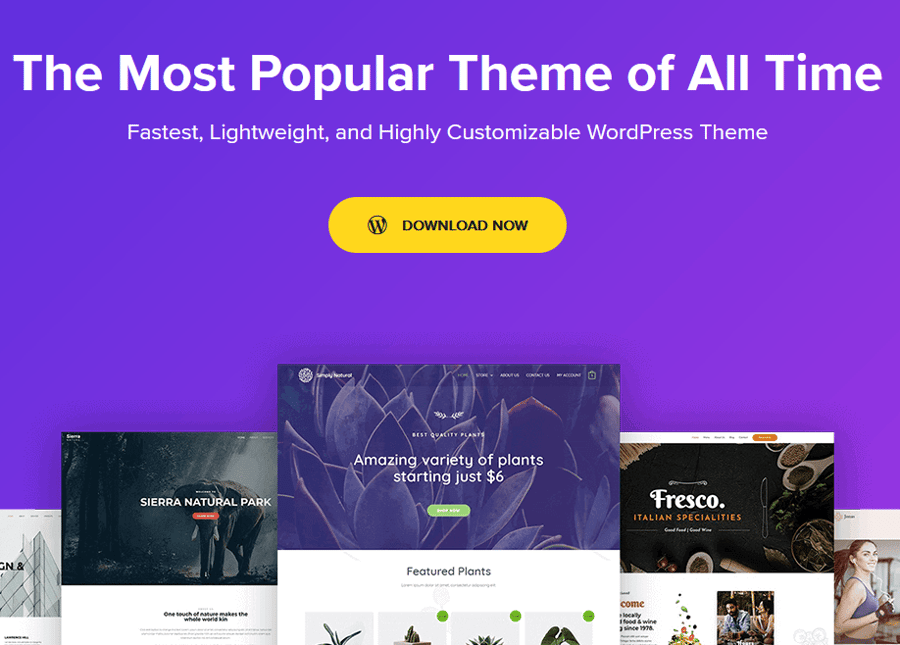 Astra wordpress theme