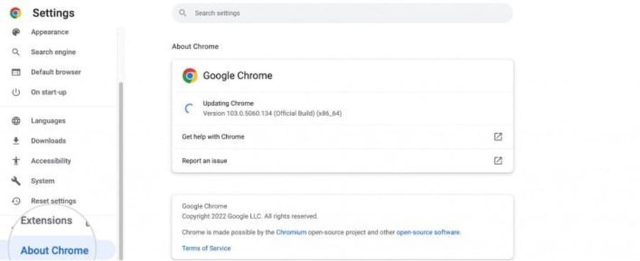 Check for Browser Updates