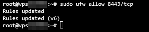 Enable Ports 443 and 8443 on Ubuntu