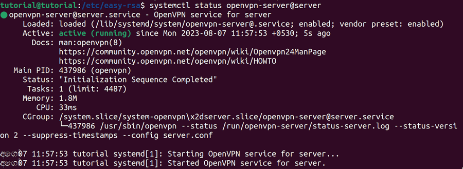 Start and Enable OpenVPN Service