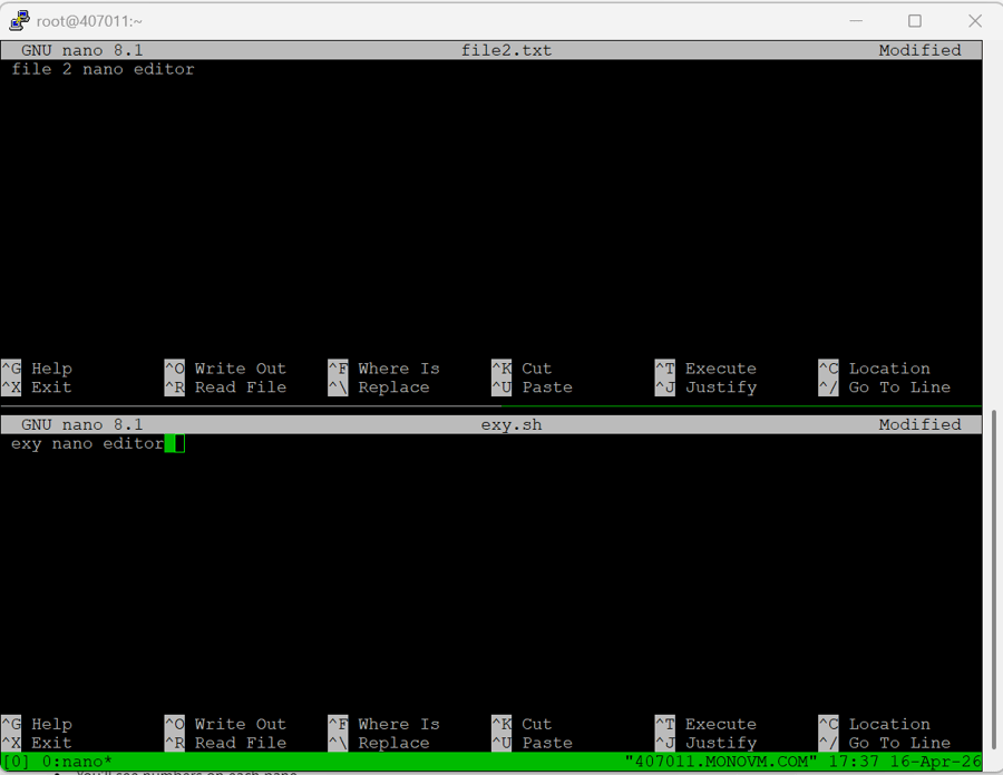 nano edit multiple files