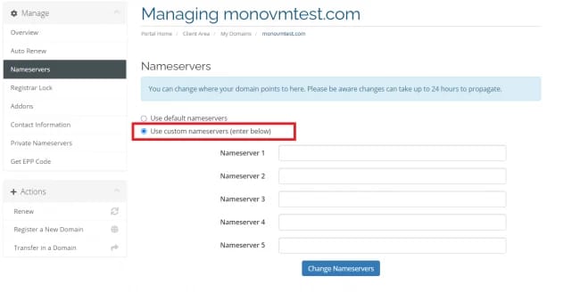 enter domain name server