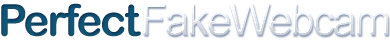 Perfect Fake Webcam 