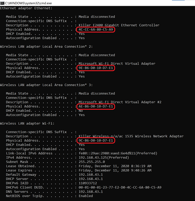 How to Find MAC Address on Windows