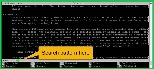 How to Search in Nano Editor?