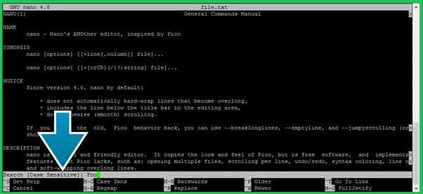 How to find in Nano Editor?
