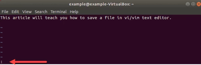 Save VIM