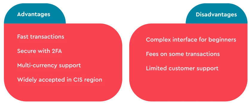 Pros and Cons of WebMoney