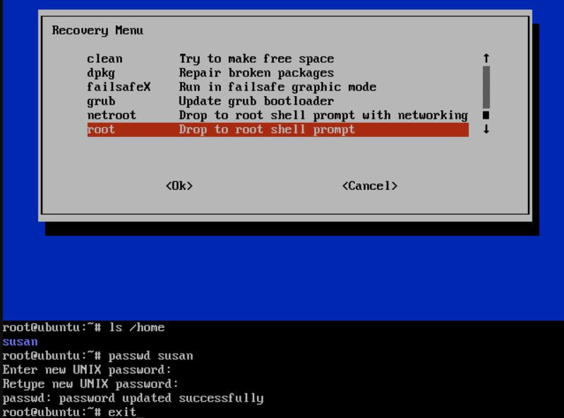 Accessing Recovery Mode