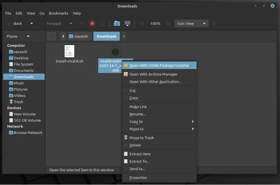 Download the .deb file