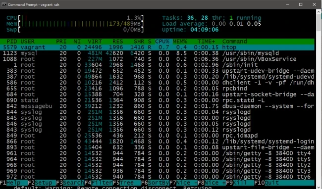 Introduction to htop