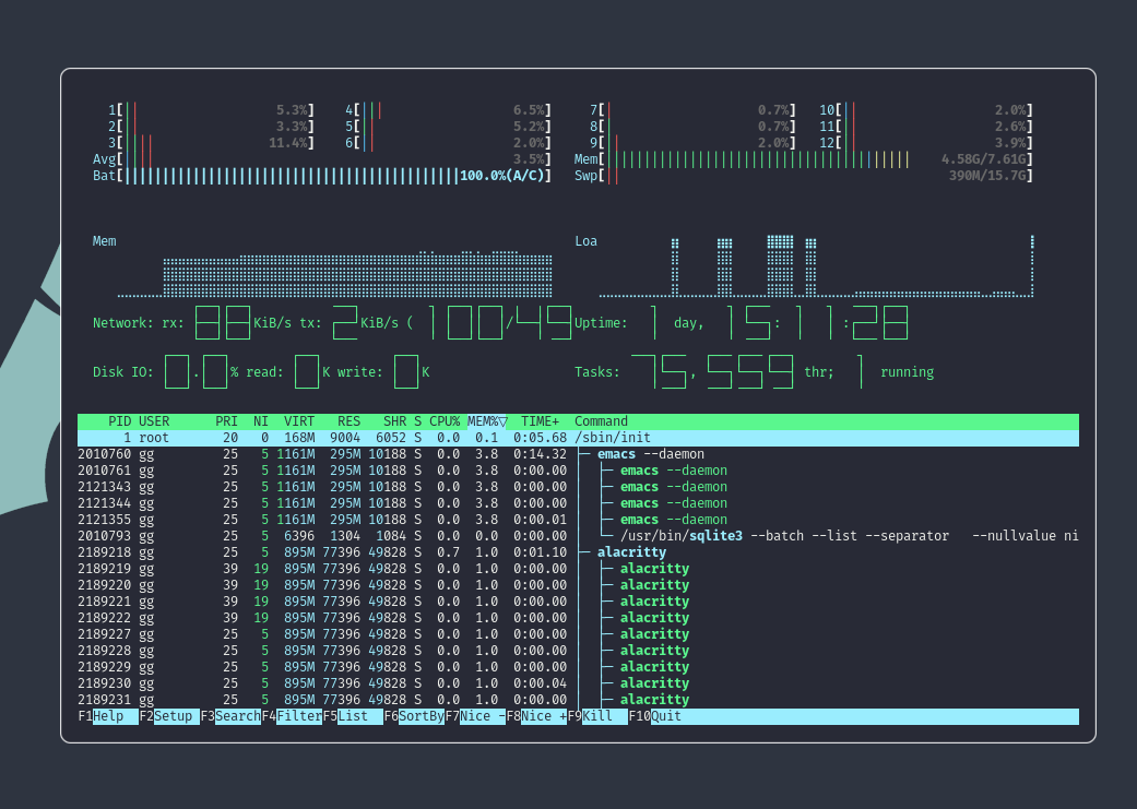 htop_custoumized