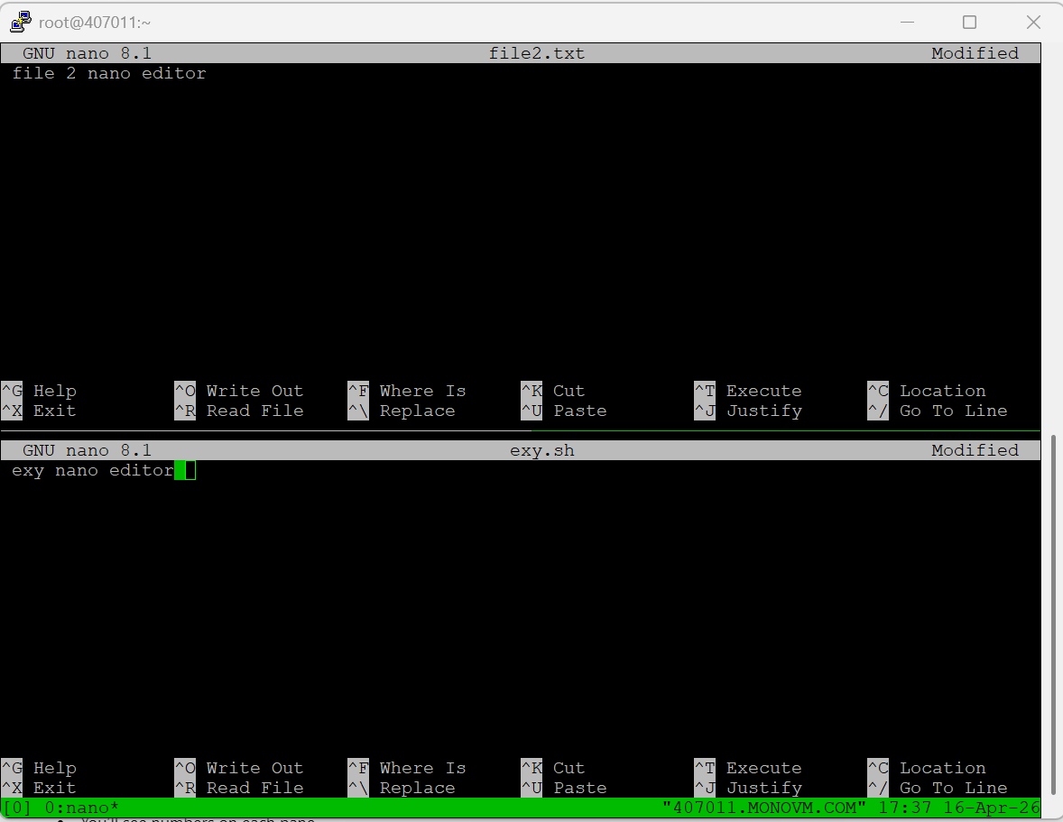 nano edit multiple files
