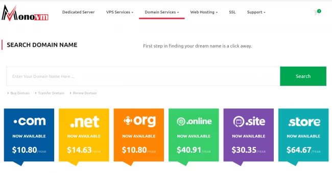 What is a Domain Name?