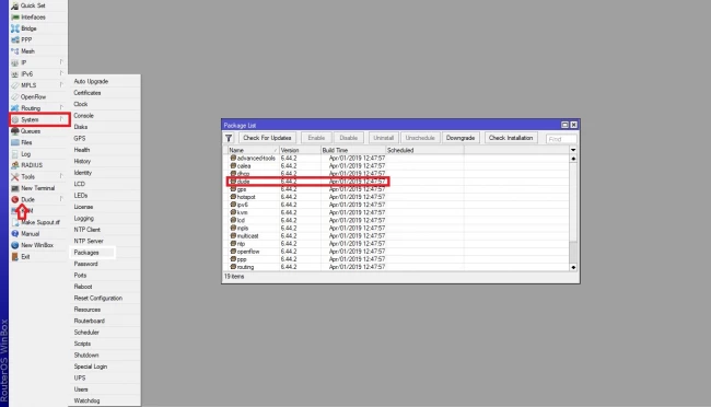 MikroTik Dude server.