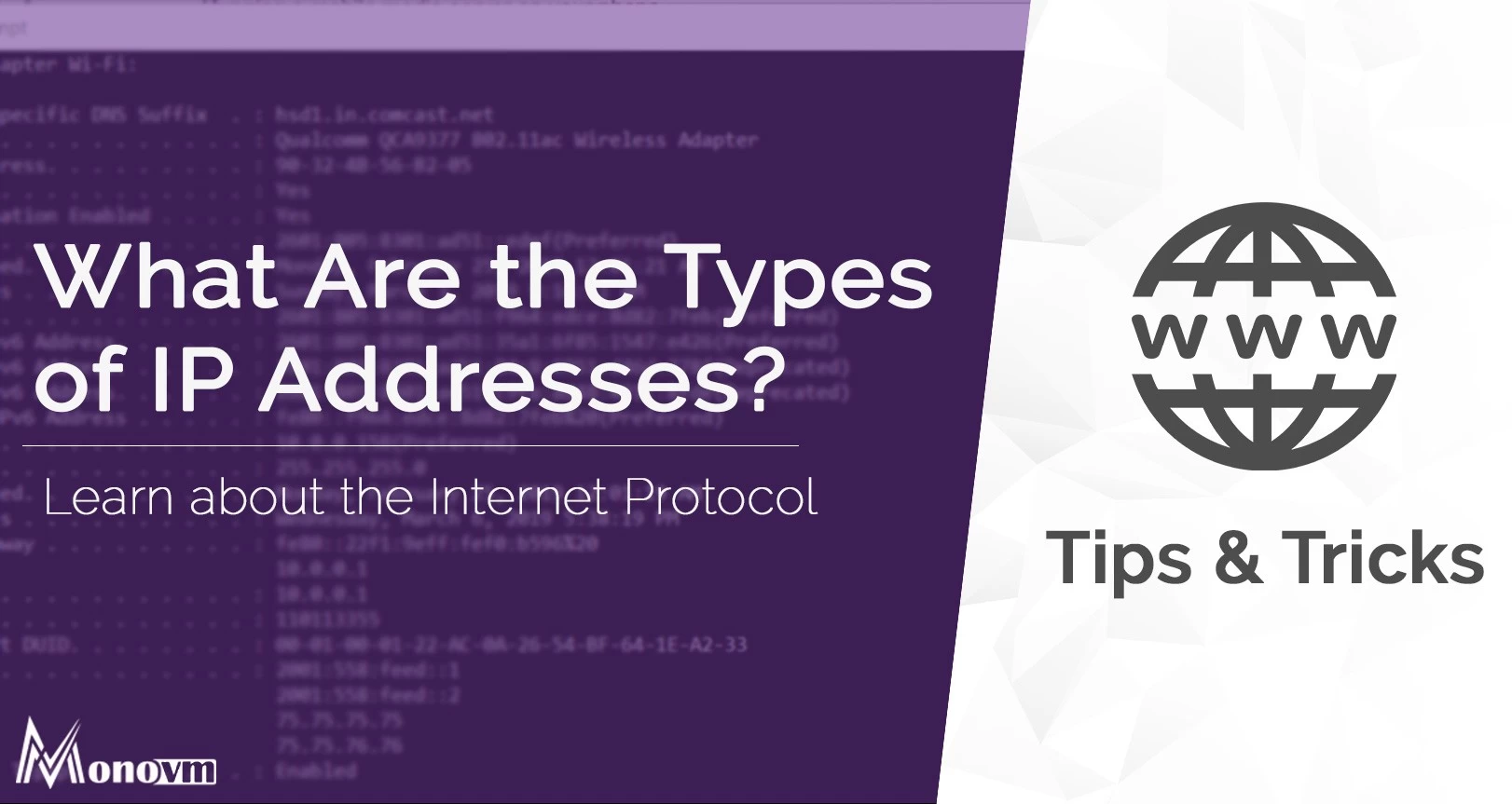 Different Types of IP Addresses & Version to Use in 2024