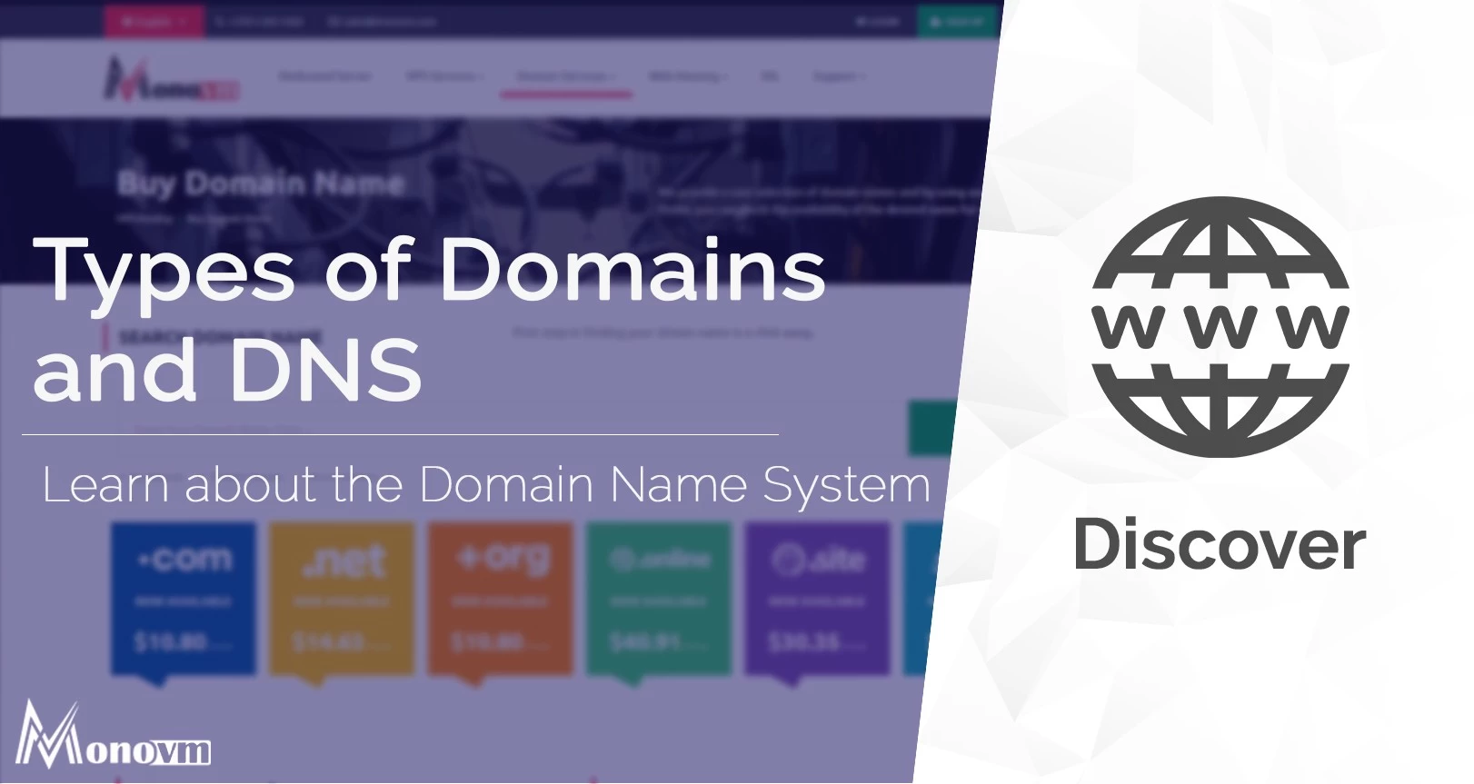 What Is a Domain Type? (Definition, 5 Types and Examples)