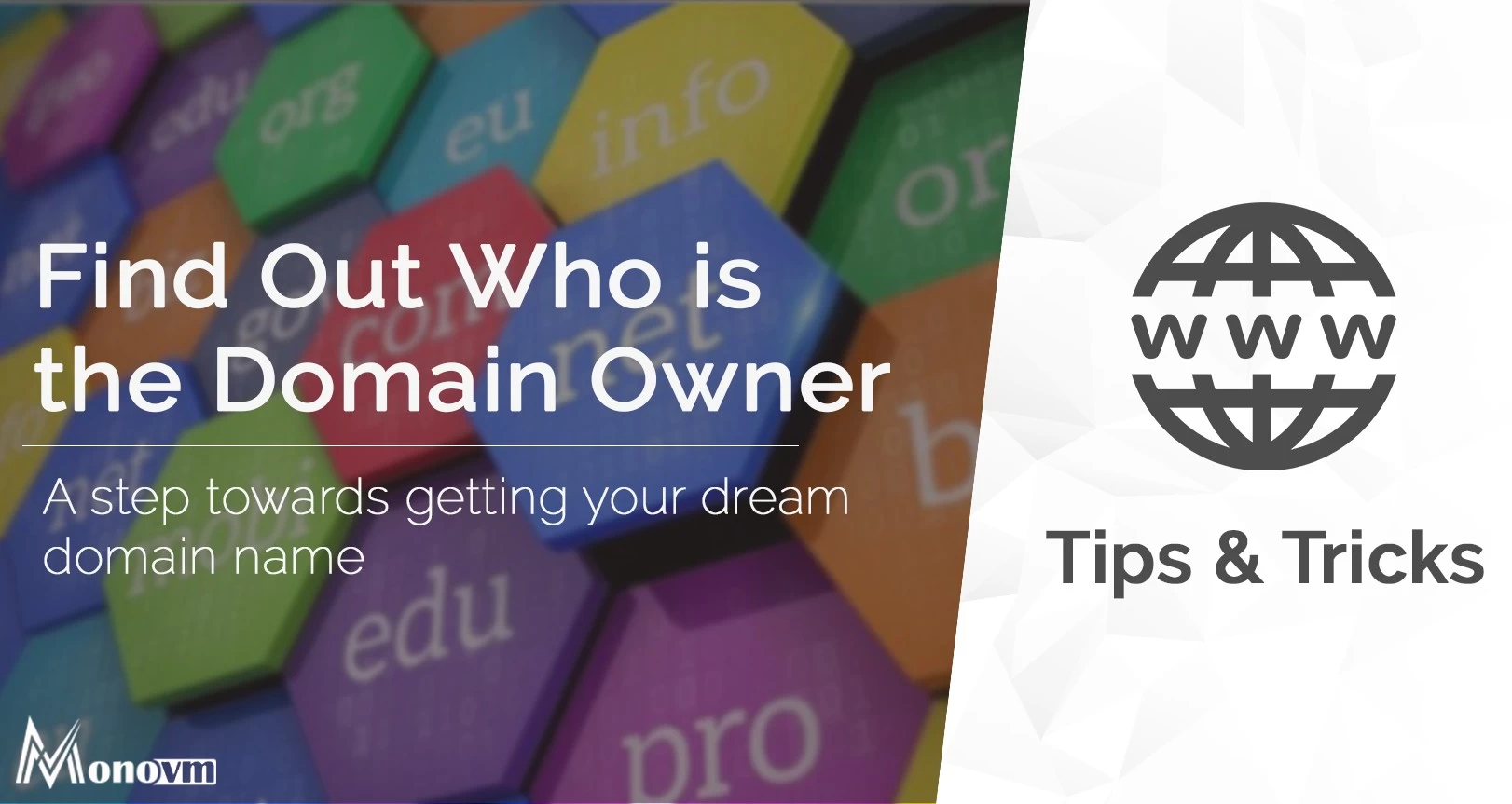 How to Determine Who Owns a Domain Name