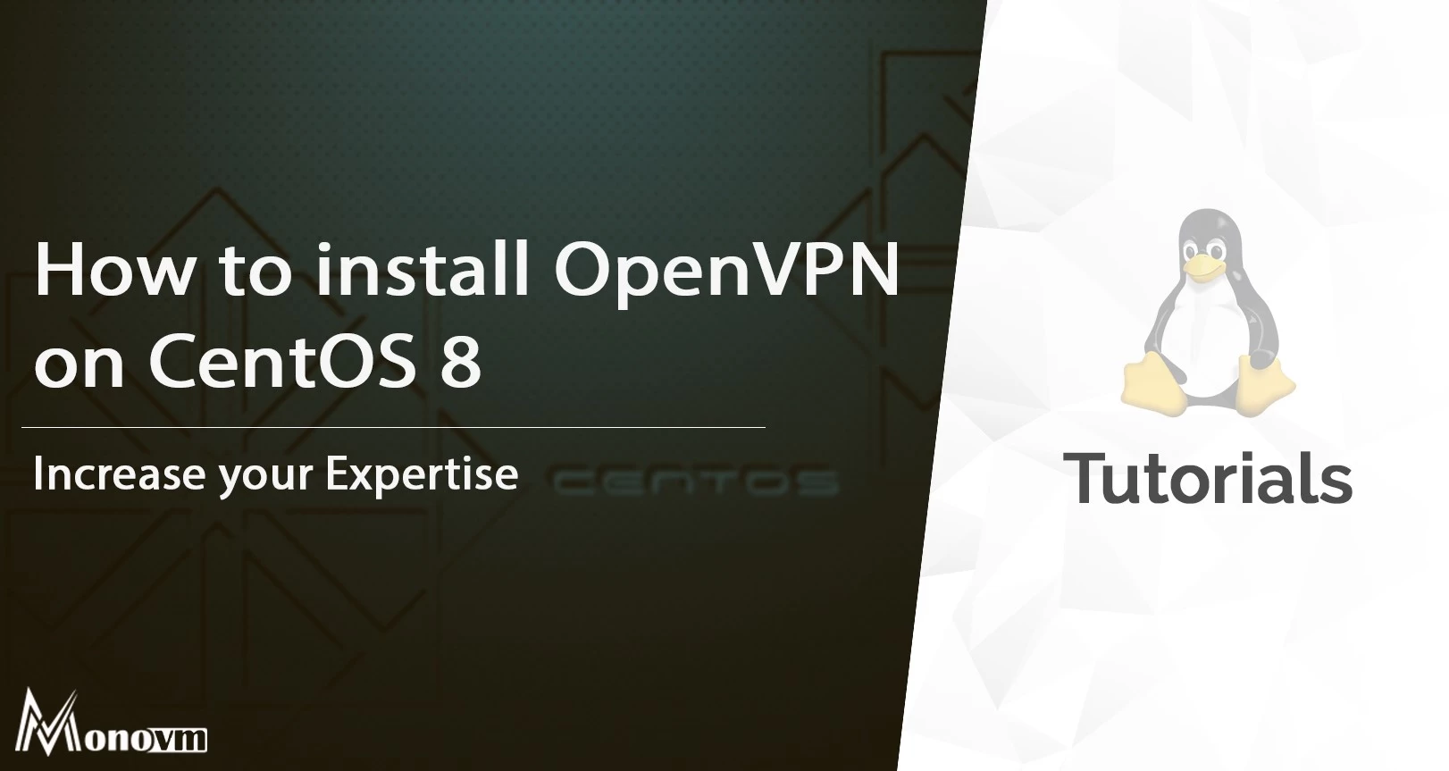 How to Install OpenVPN on CentOS 8?