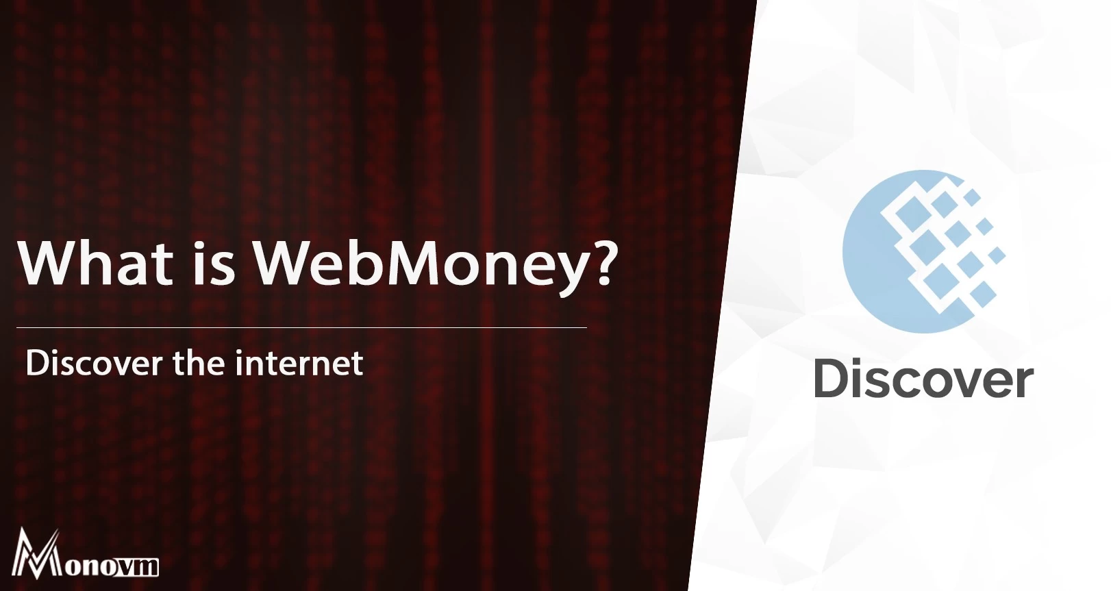 What is WebMoney?