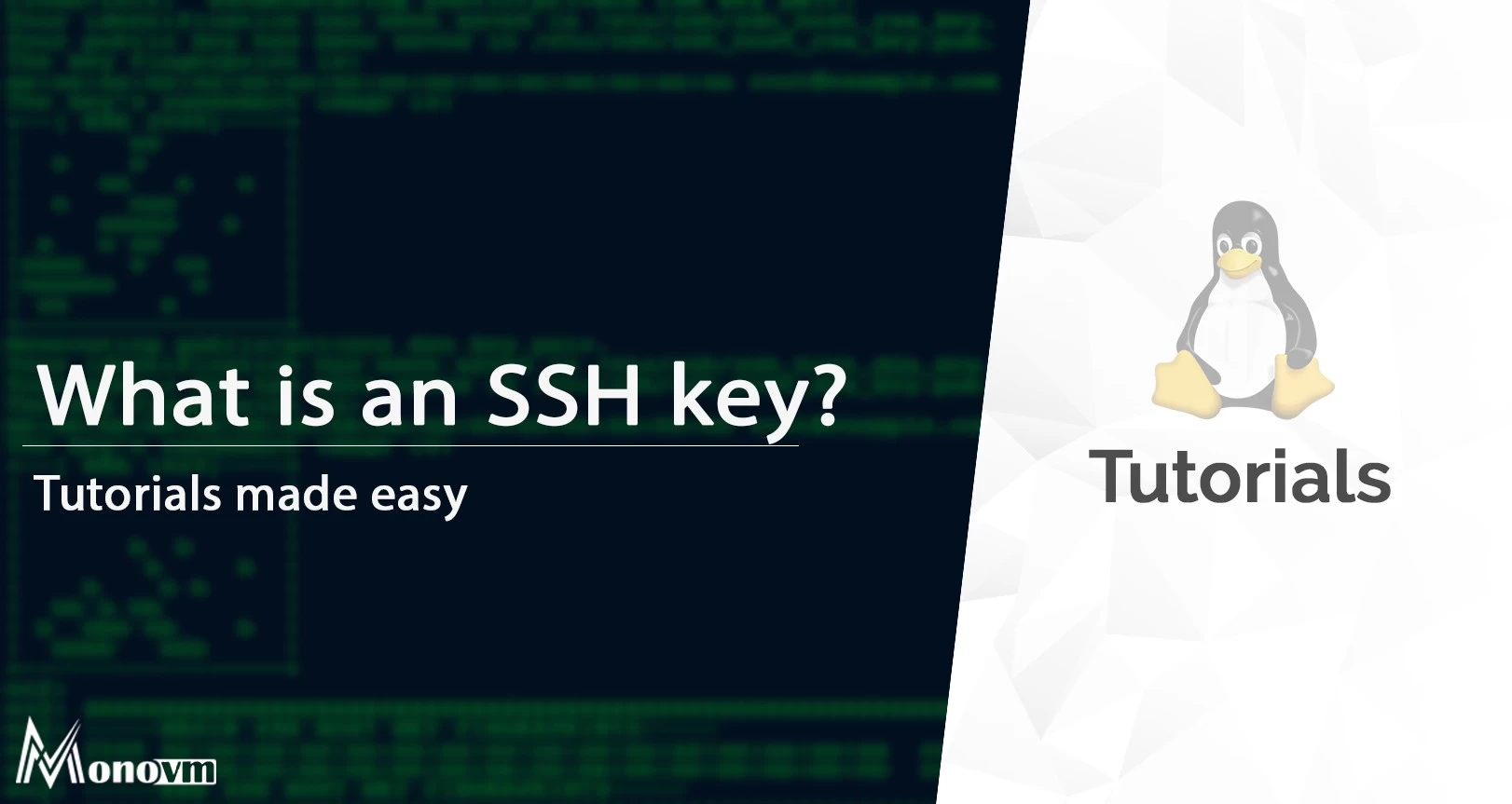 What is an SSH KEY?