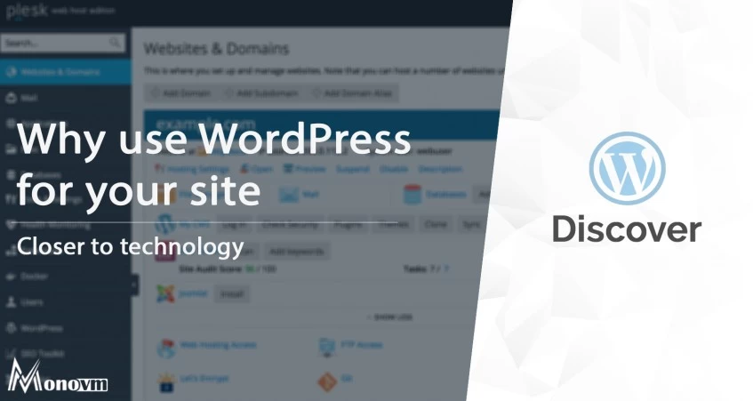 Why You Should Use WordPress for Your Website