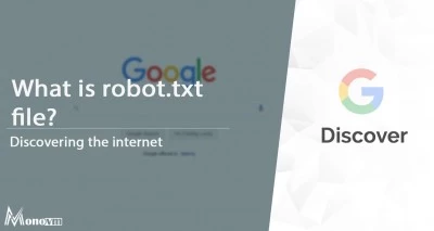 What is Robots.txt file?