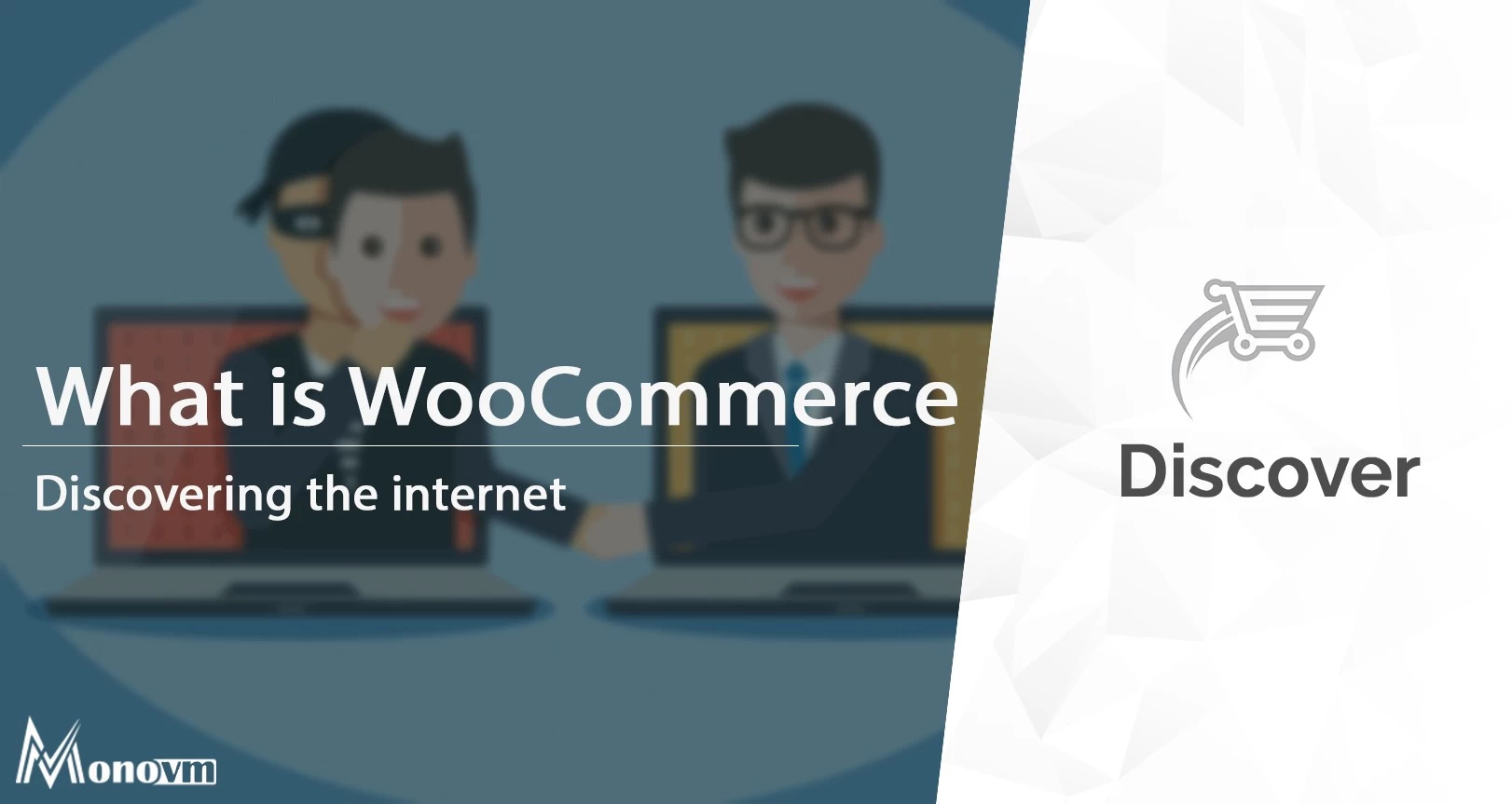 What is WooCommerce? Your Guide to E-Commerce Success