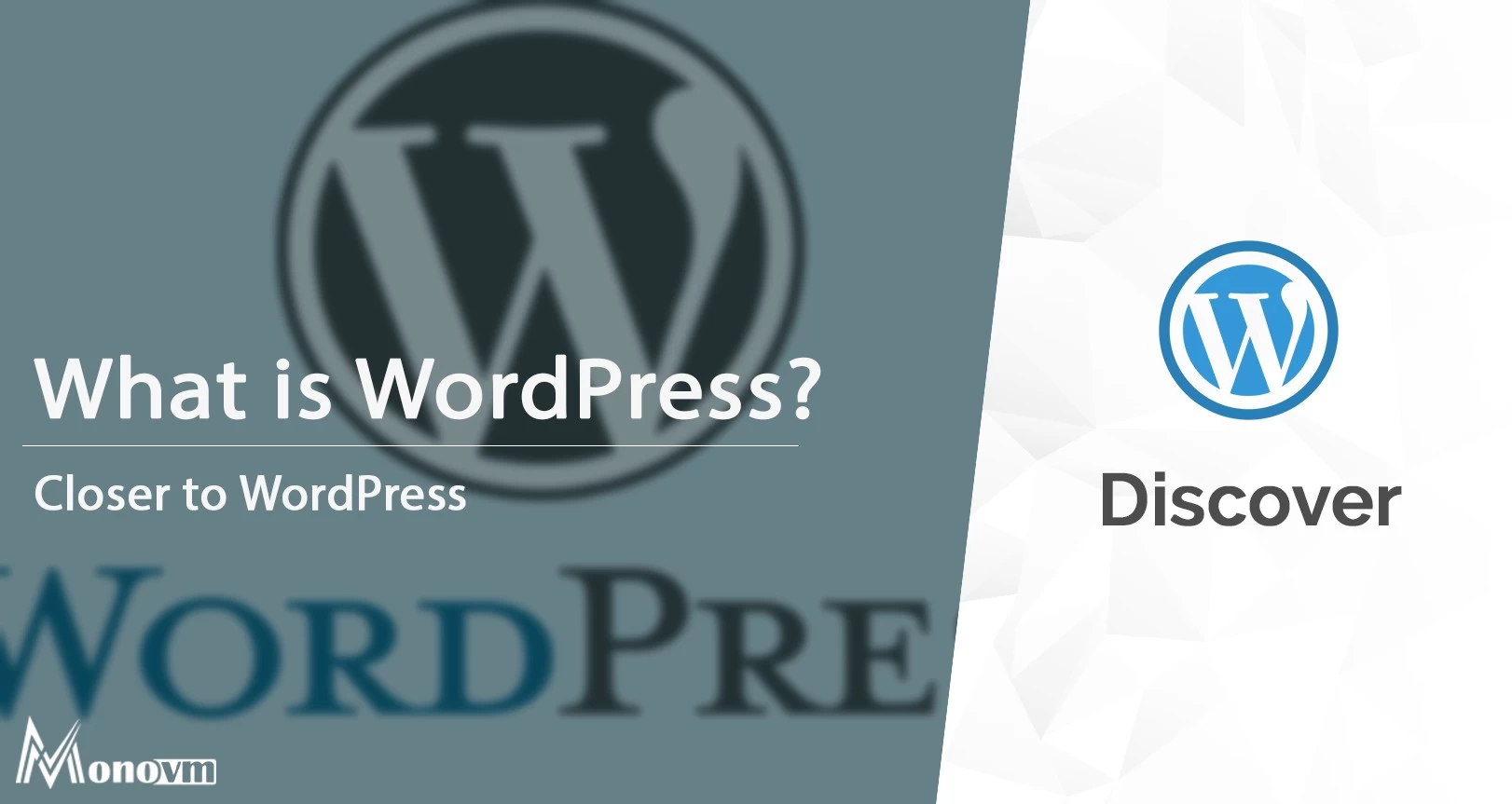 What Is WordPress? A Complete and Comprehensive Guide for Beginners