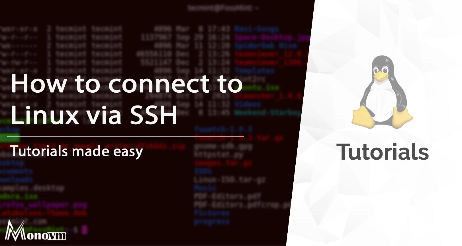 How to SSH Linux, How to connect to SSH Terminal