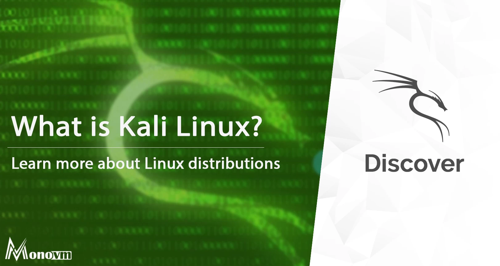What is Kali Linux?