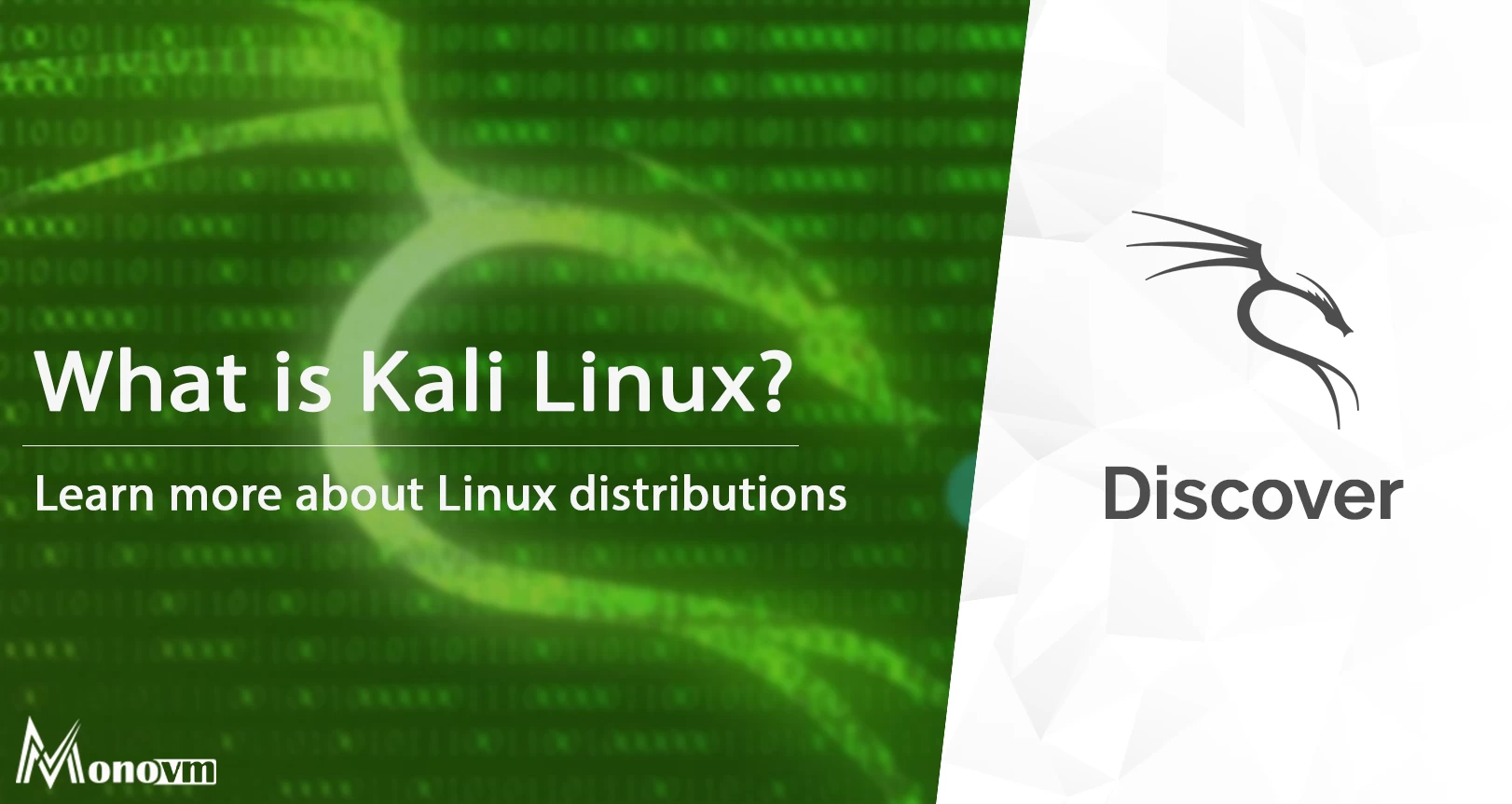 What is Kali Linux? "Hacking Your Way to Digital Empowerment"