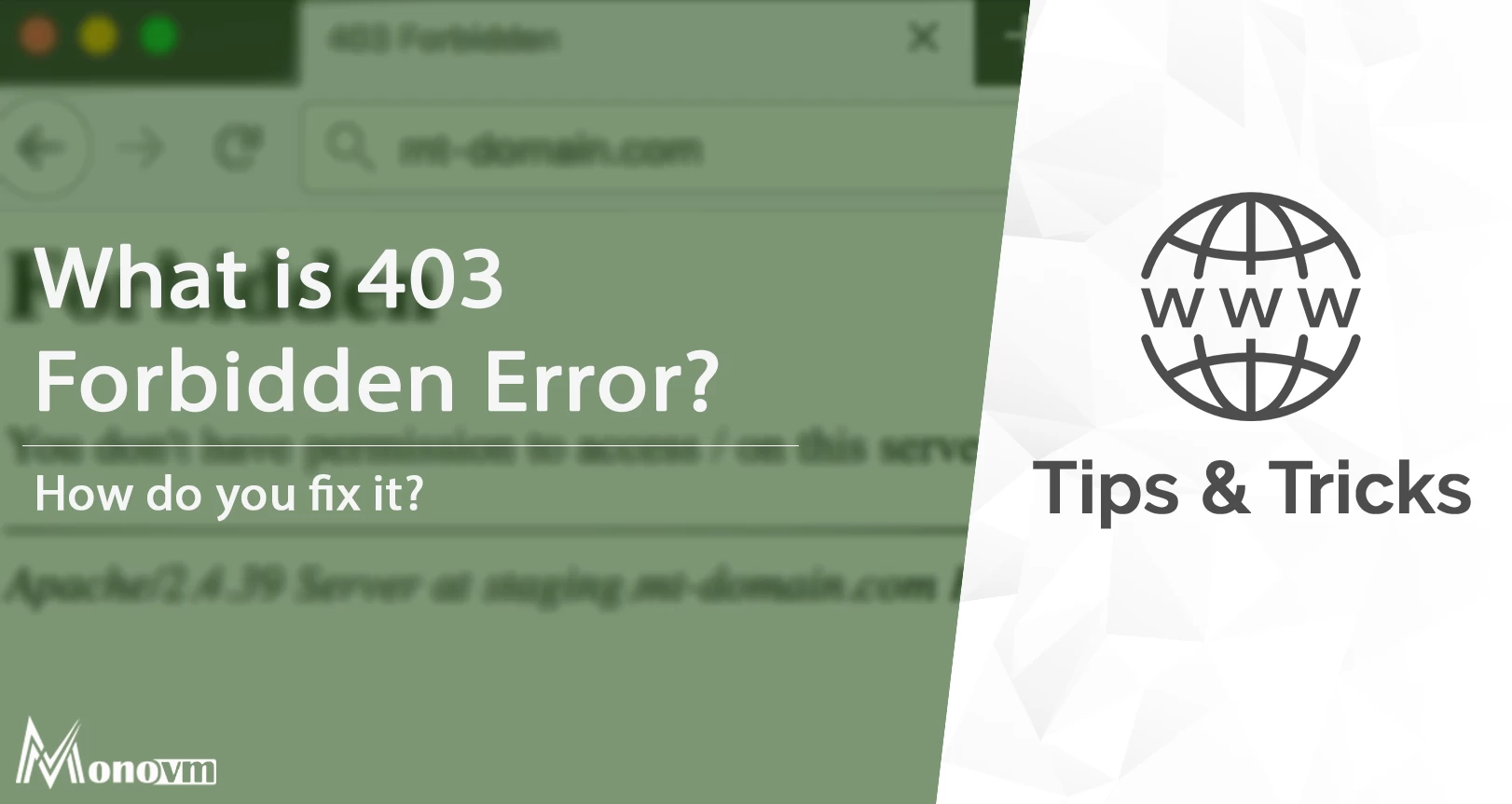 What Does a 403 Forbidden Error Mean? How Do You Fix It?