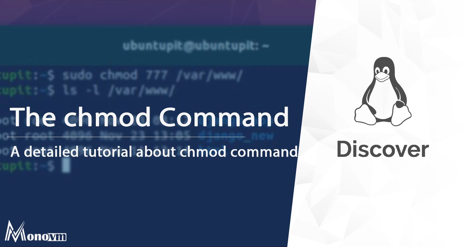 The chmod Command