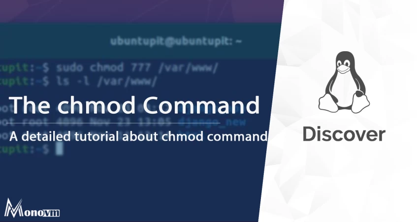 The chmod Command