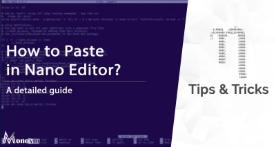 How to Paste in Nano Editor? [Nano Paste Command]