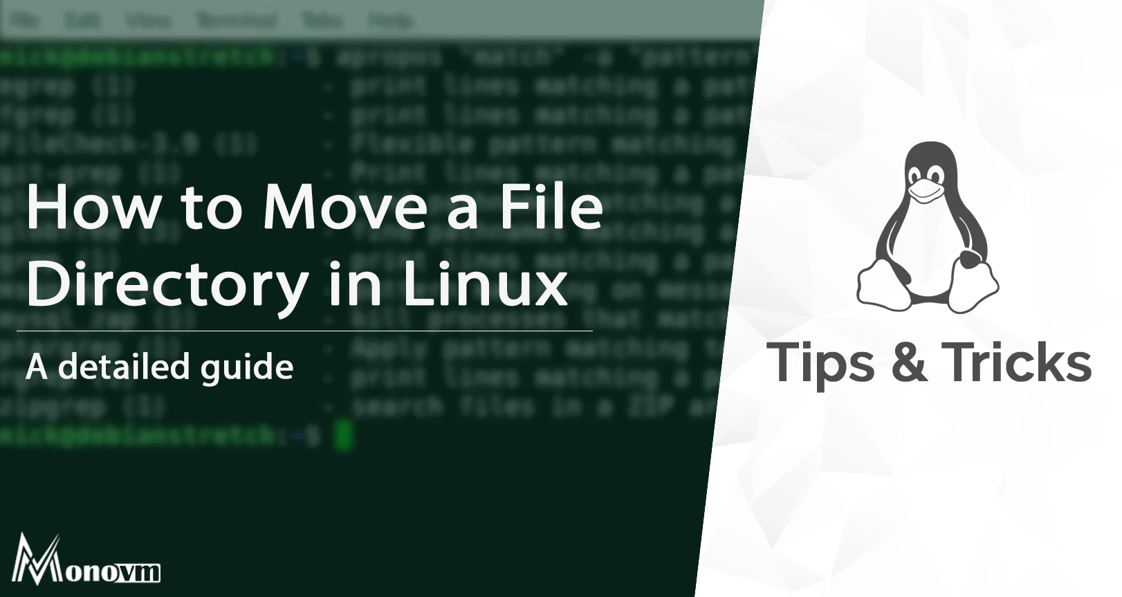 MV Command in Linux with Examples [Linux Move File]