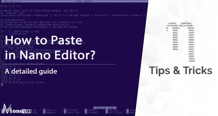 How to Paste in Nano Editor
