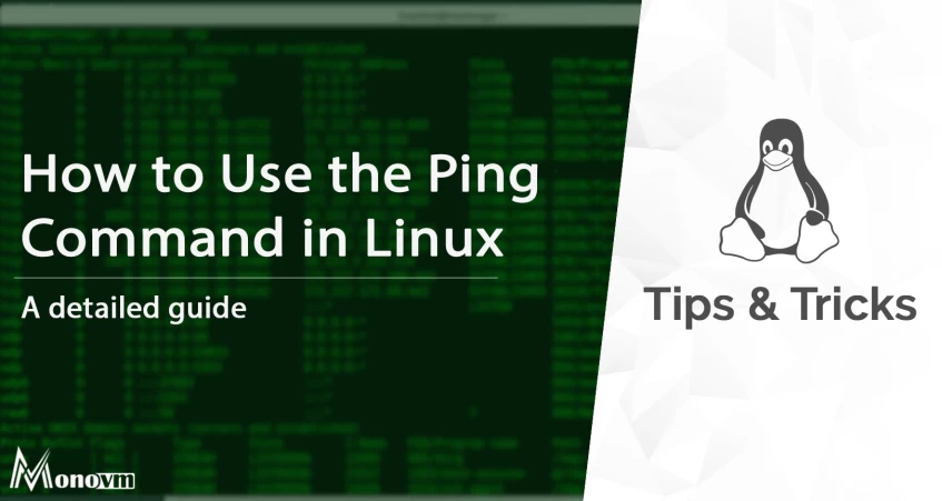 Ping Command in Linux [How to Ping in Linux]
