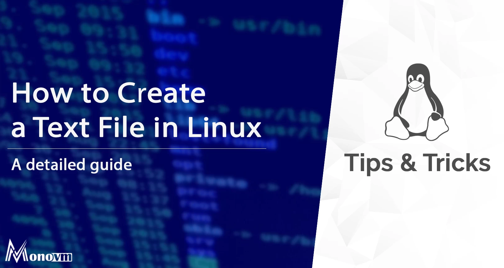 How to Create a File in Linux Using Text Editors and the Terminal