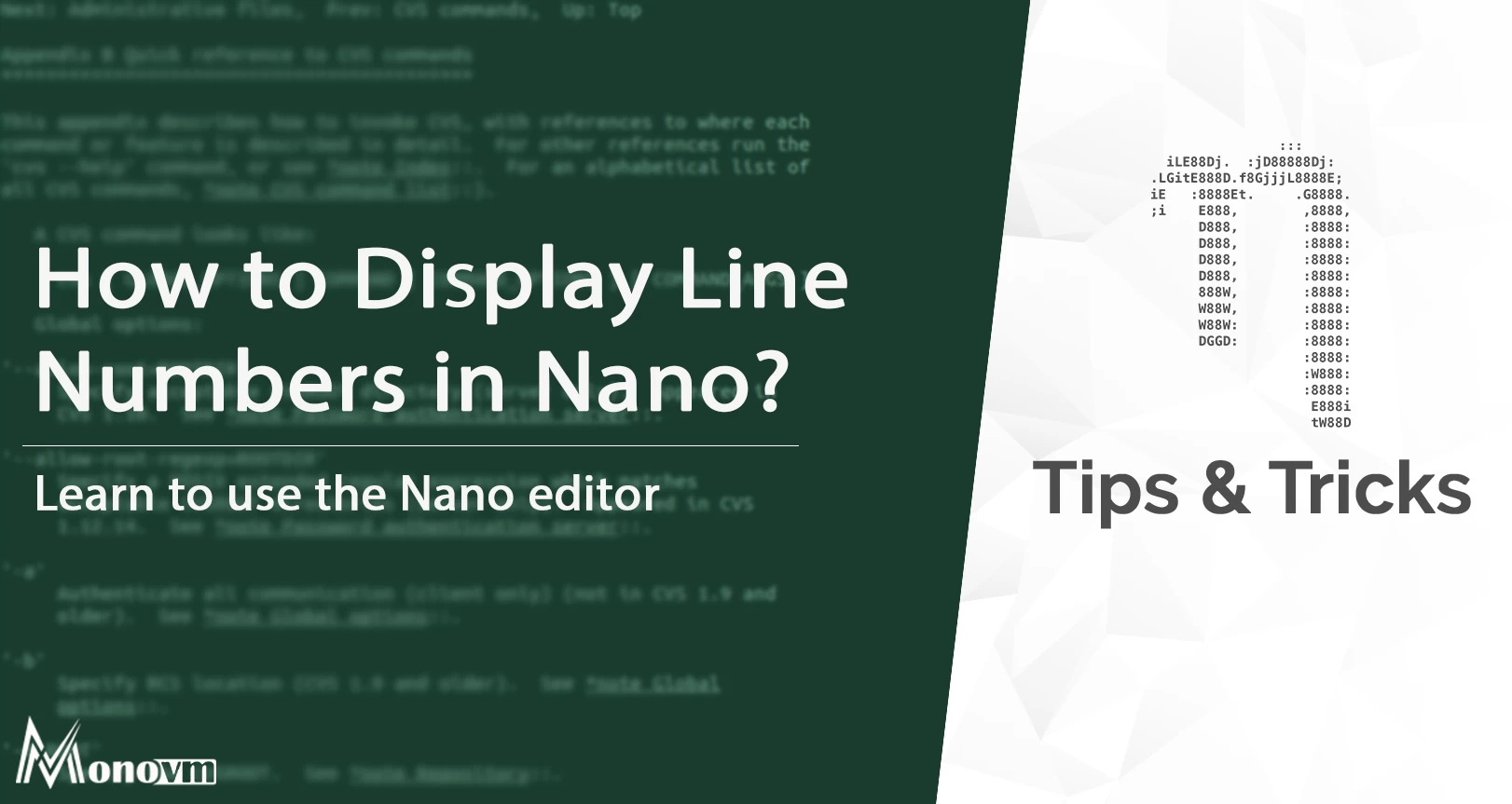 How to Show Line Numbers in Nano Editor?