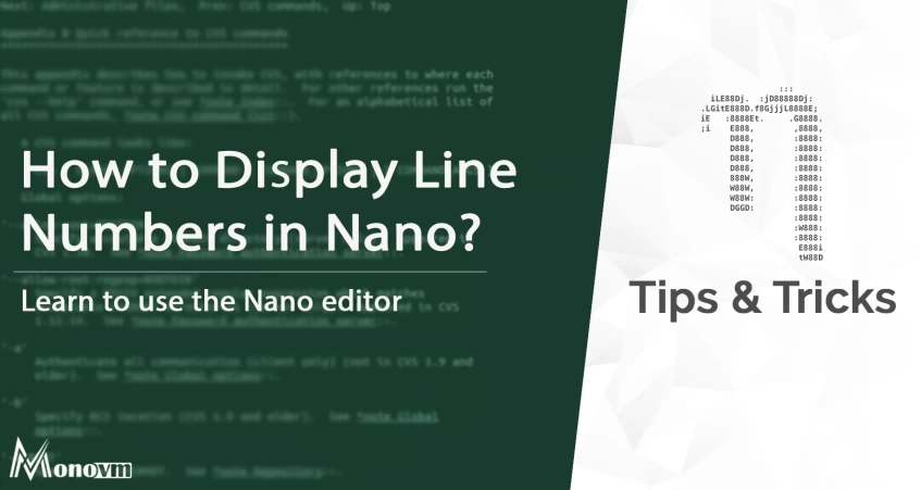 How to Display Line Numbers in Nano Editor?