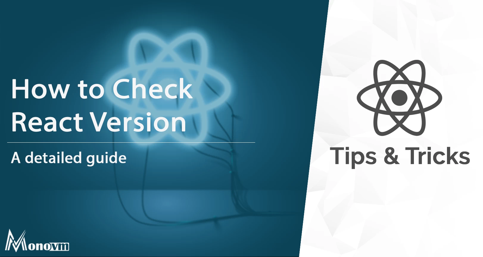 How to Check React Version? [React Latest Version]